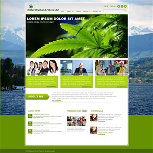 Web Design by TechWise for this project | Design: #2125129