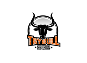Logo Design by creative.bugs