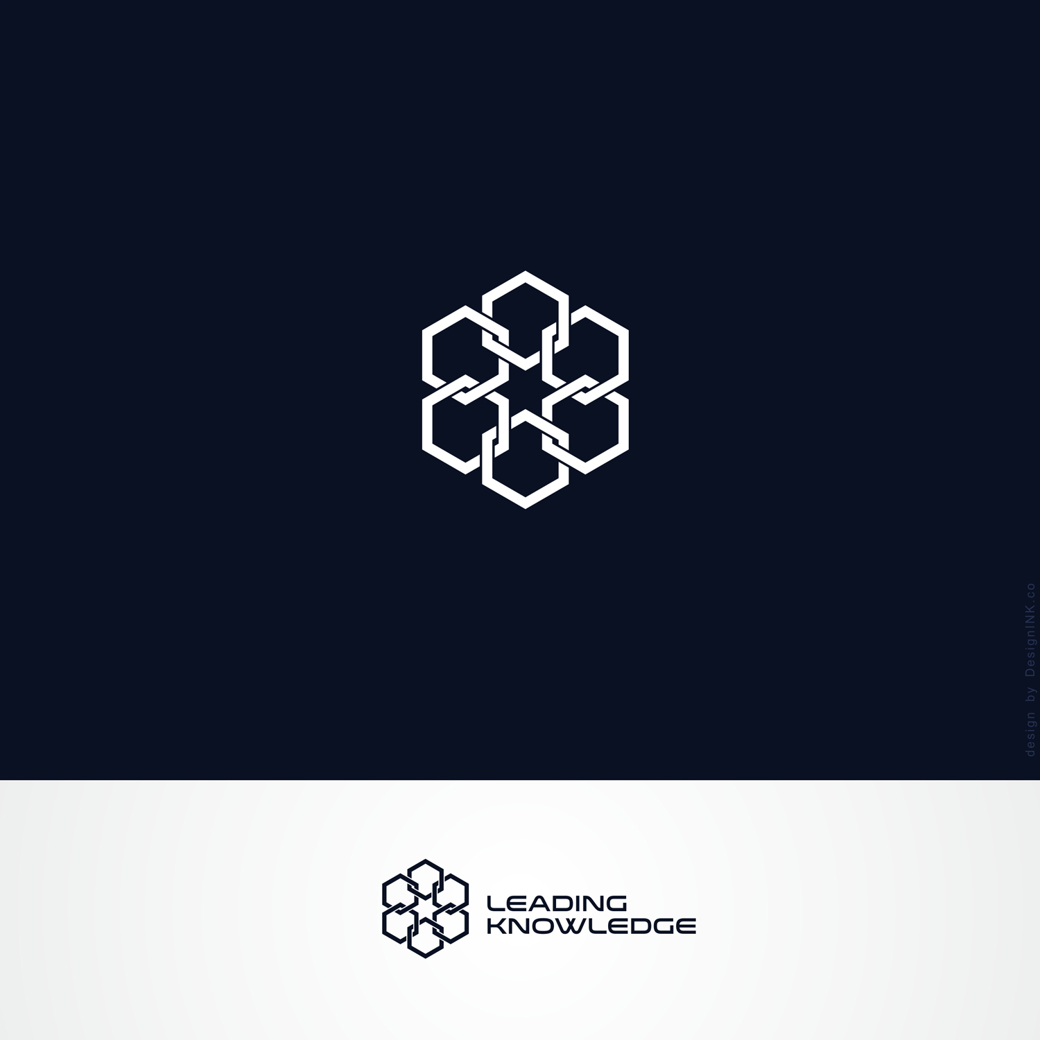 Diseño de Logo por AU9USTO para este proyecto | Diseño #9436434