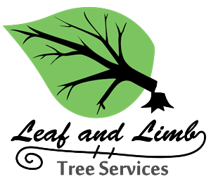 Logo Design by AceMcCrank