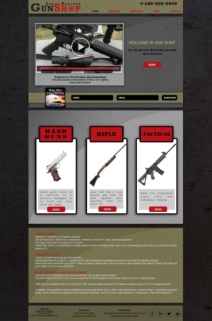 Local Gun Shop Shooting For Great Website!  | Web Design by Hatem