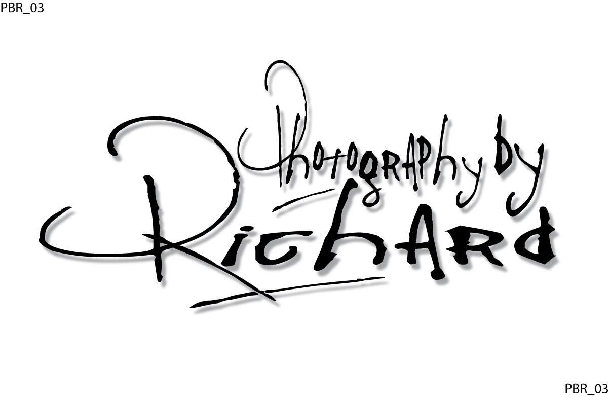 Logo Design by Concept 2 creation / C2C Studio inc. for Photography by Richard | Design #16213