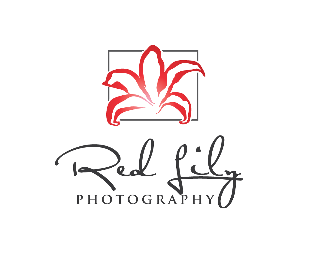 Design de Logo par jose_luiz pour Red Lily Photography | Design #9452742