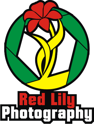 Logo Design by habibie.irza for Red Lily Photography | Design #9452847