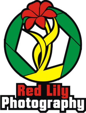 Logo-Design von habibie.irza für Red Lily Photography | Design #9452847
