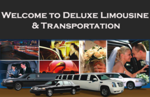 Diseño de Tarjeta de Presentación por INDIAN_Ashok para 5 Diamond Transportation & Limo | Diseño: #9453705