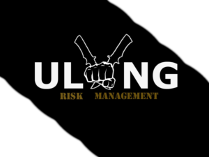 Design de Logo par Paola R pour Ulong Risk Management | Design #9419936