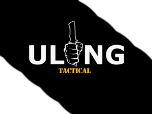 Design de Logo par Paola R pour Ulong Risk Management | Design : #9419937