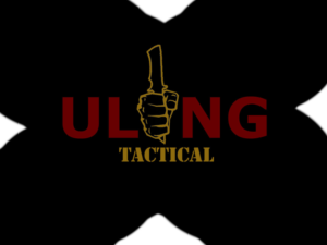 Design de Logo par Paola R pour Ulong Risk Management | Design : #9419938