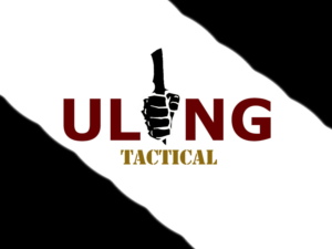 Design de Logo par Paola R pour Ulong Risk Management | Design : #9419939