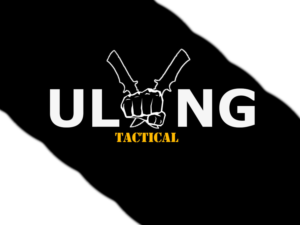 Design de Logo par Paola R pour Ulong Risk Management | Design : #9419940