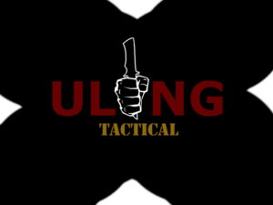 Design de Logo par Paola R pour Ulong Risk Management | Design : #9419961