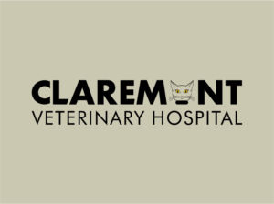 Logo Design by andiacos for this project | Design: #9514147