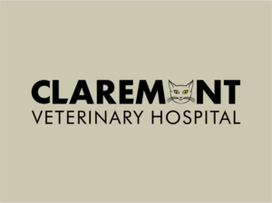 Logo Design by andiacos for this project | Design: #9514170