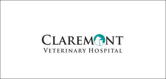 Logo Design by ciolena for this project | Design #9474909