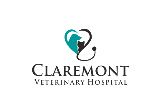 Logo Design by ciolena for this project | Design #9475012