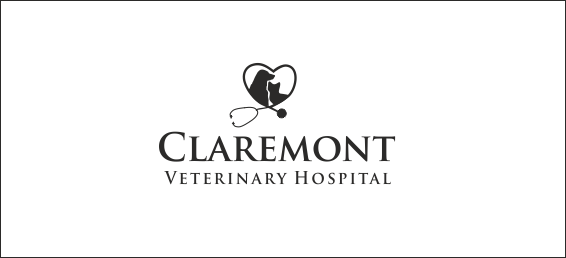 Design de Logo par ciolena pour ce projet | Design #9475120