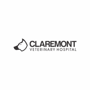Logo Design by exmus