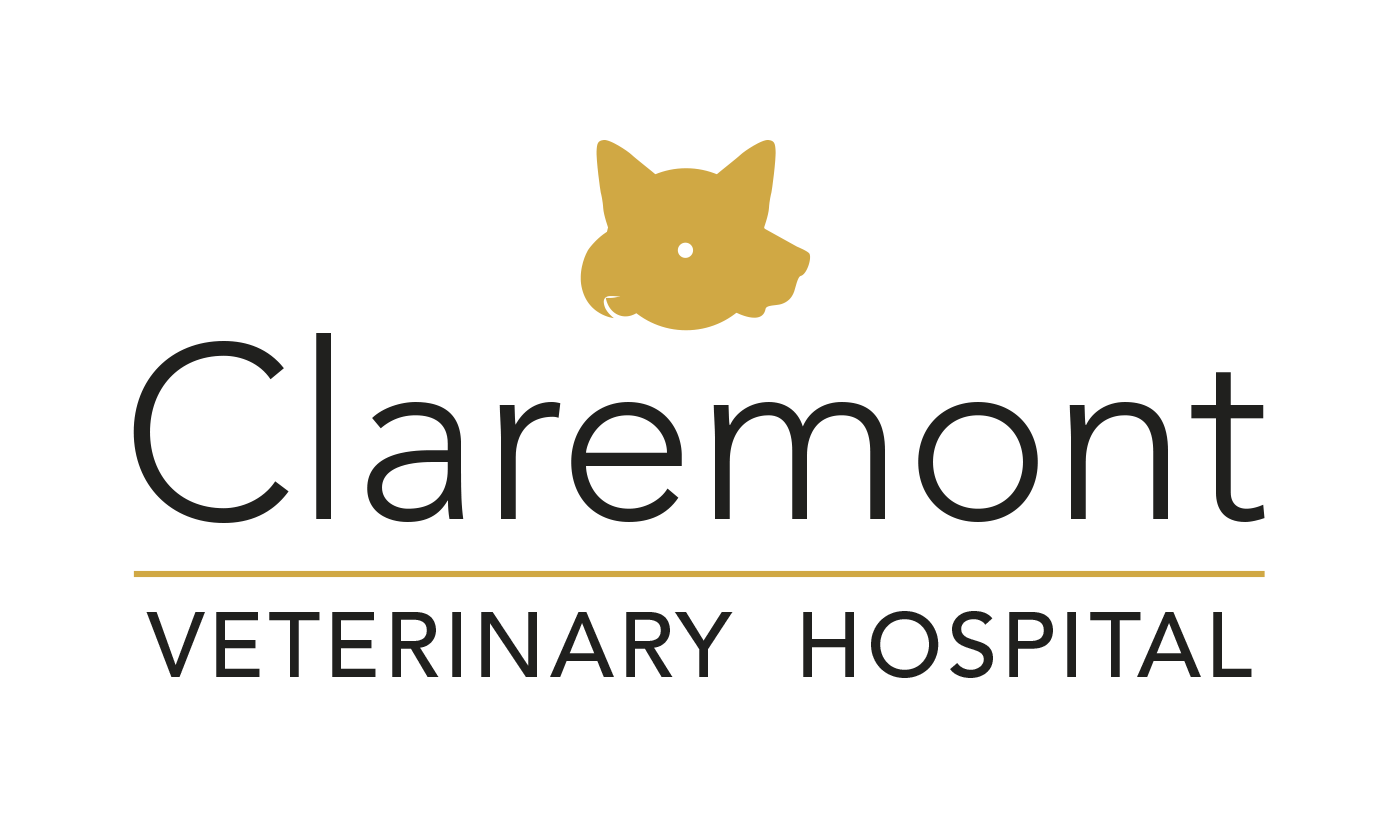 Design de Logo par Daniel318 pour ce projet | Design #9459874