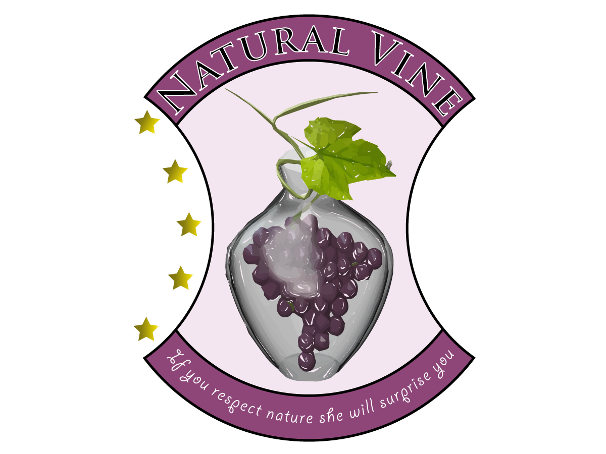 Logo Design by clenci for Tec-Sol ltd | Design #2135699