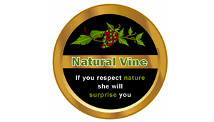 Logo Design by Jeff