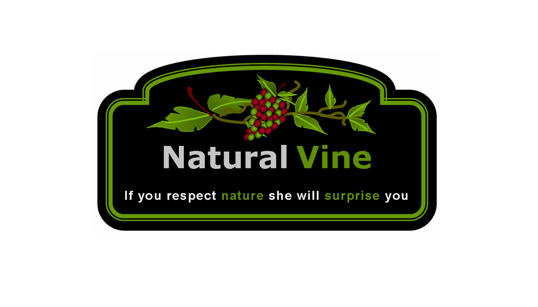 Logo Design by Jeff for Tec-Sol ltd | Design #2097214