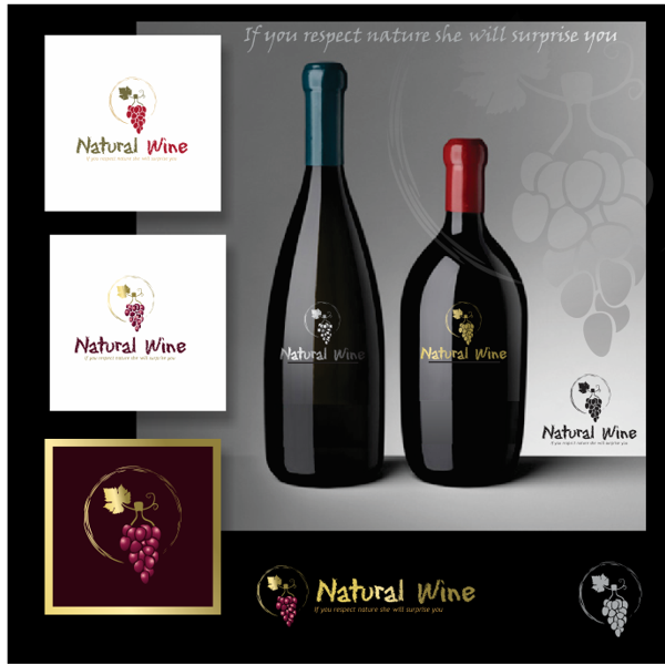 Logo Design by Bibi for Tec-Sol ltd | Design #2117711