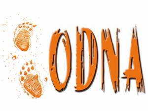 Logo Design by E@dk-it