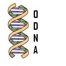 Logo Design by Robert Neumann for ODNA | Design: #2151609