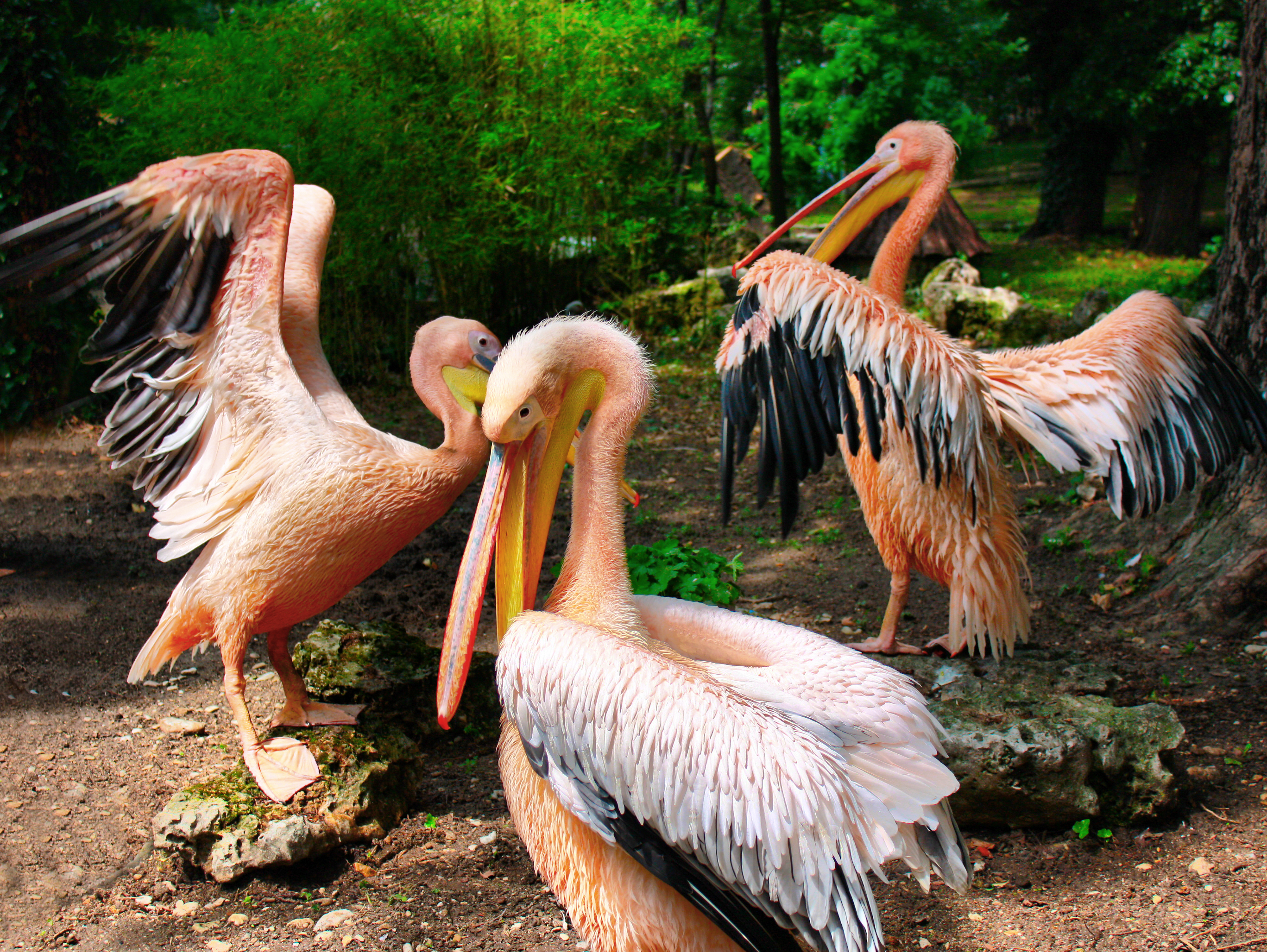 Photography by exit for DesignCrowd (Community Contests) | Design #9427203