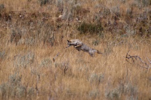 Photography by Ornography