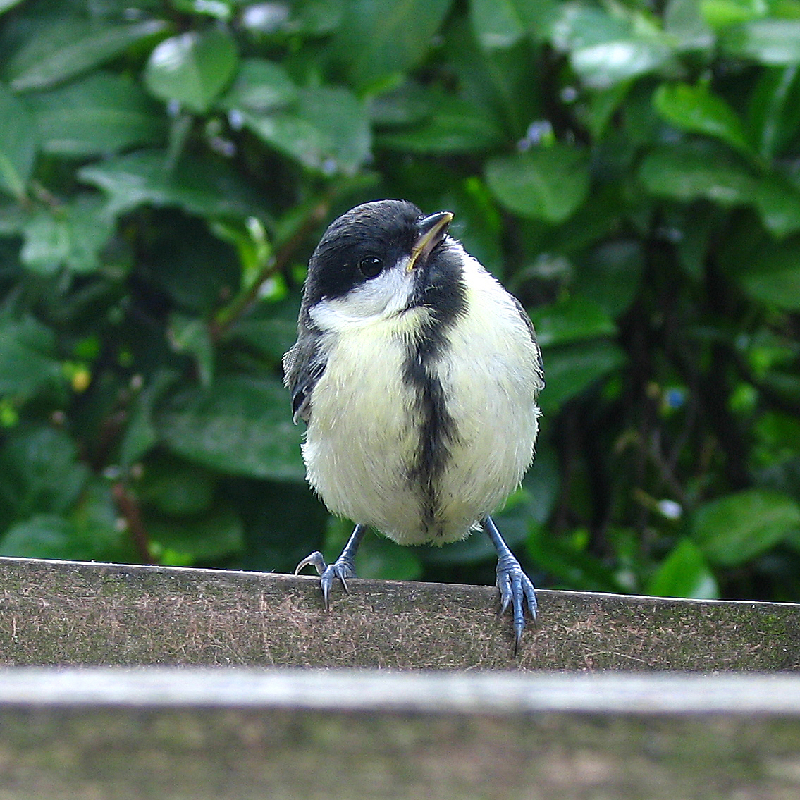 Photography by blinkie for DesignCrowd (Community Contests) | Design #9429284