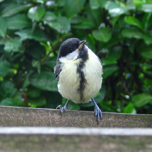 Photography by blinkie