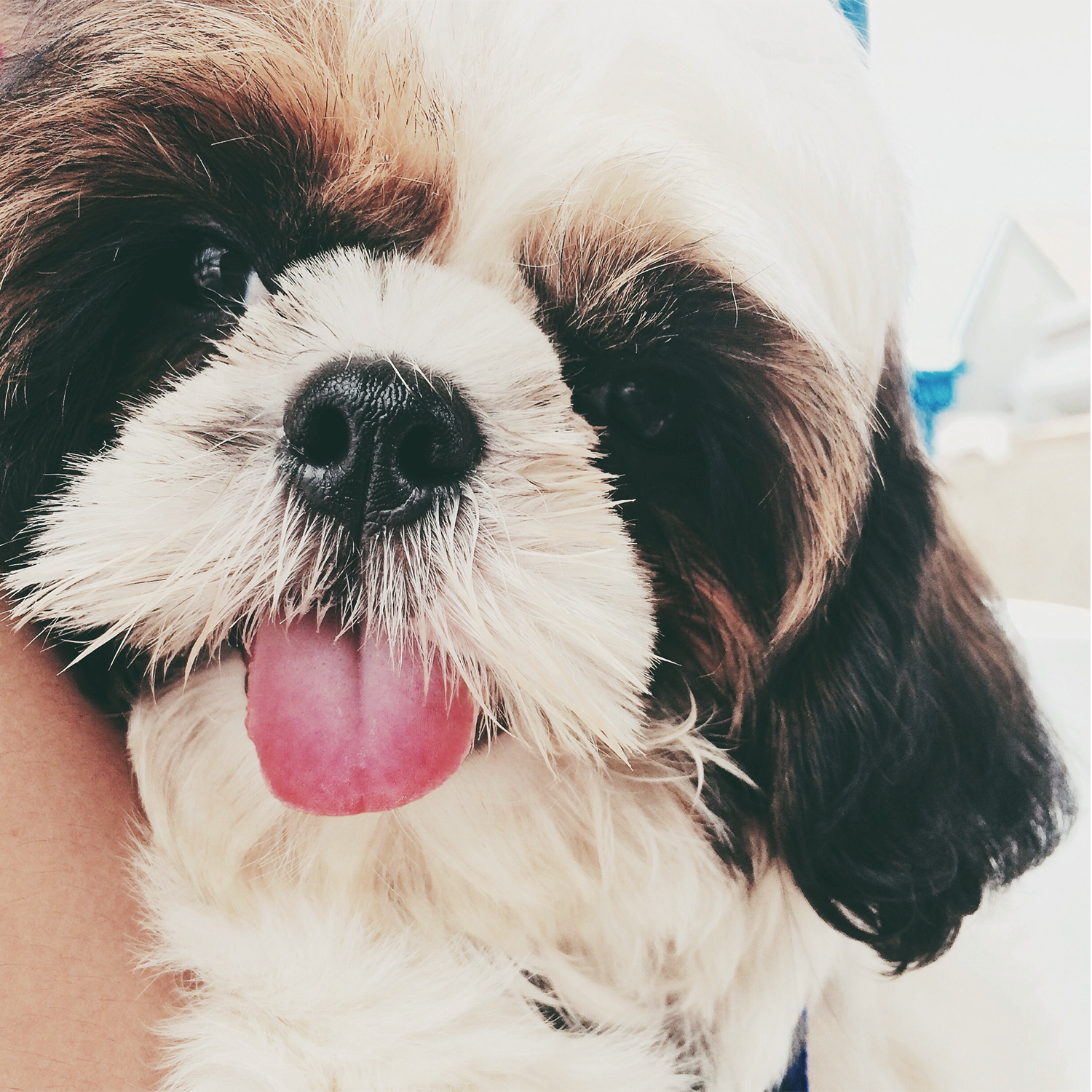 Fotografie von tullokleerajmc für DesignCrowd (Community Contests) | Design #9502934