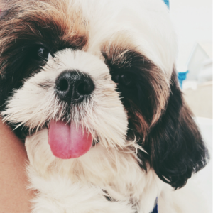 Photography by tullokleerajmc