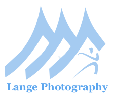 Logo Design by Alkemist for this project | Design: #2061970