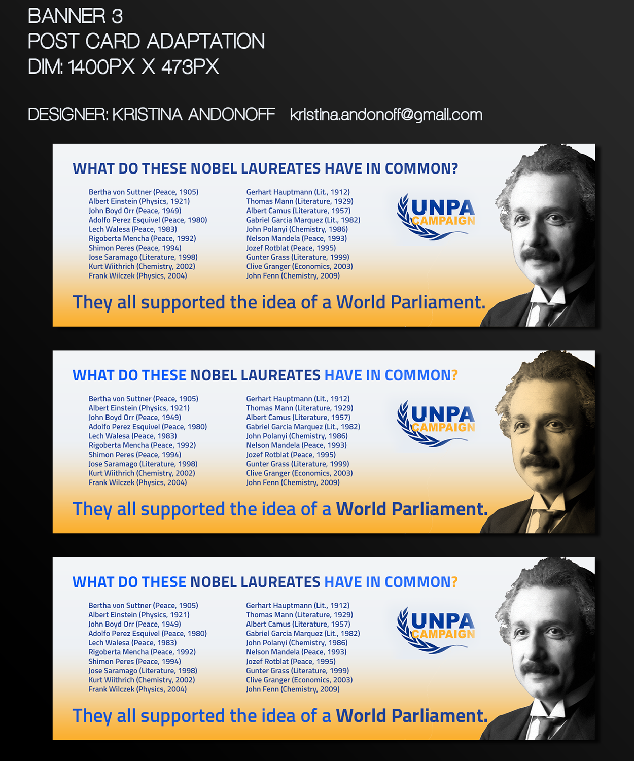 Banner Ad Design by Kristina Andonoff for Democracy Without Borders | Design #9503951