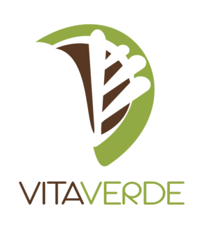 Logo Design by ln_none