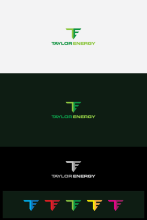 Taylor Energy  | Logo Design by eko07