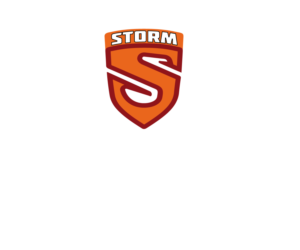 Logo Design by NEX for this project | Design: #9447353