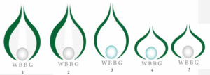 Logo Design by DimmyXdd