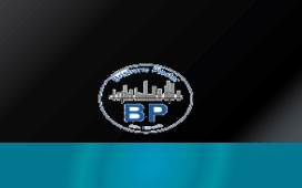 Business Card Design by carolinahdesigns for Brisbane Plaster Pty Ltd | Design #9453477