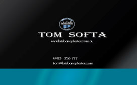 Design de Carte de Visite par carolinahdesigns pour Brisbane Plaster Pty Ltd | Design #9453528