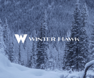 Logo Design by Christian Champagne for Winter Hawk Images | Design: #9453023