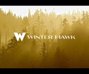 Logo Design by Christian Champagne for Winter Hawk Images | Design: #9453292