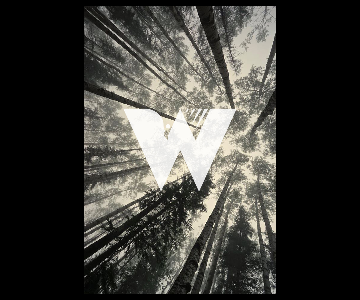 Logo Design by Christian Champagne for Winter Hawk Images | Design #9453387