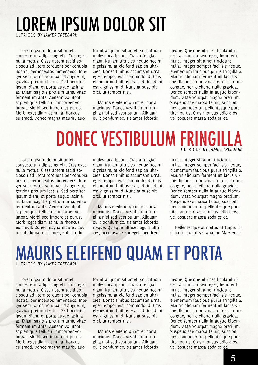 Magazin-Design von Rohan Alexander für dieses Projekt | Design #9749973