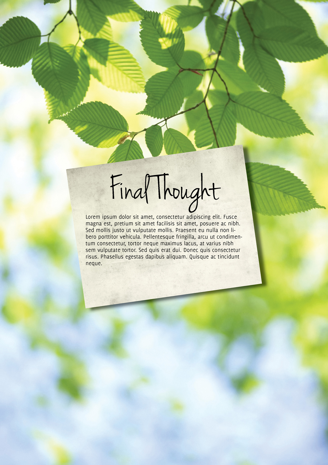 Magazin-Design von Rohan Alexander für dieses Projekt | Design #9749975