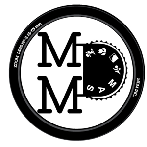 Logo Design by Yolanda727