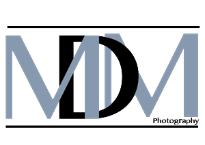 Logo Design by ziab